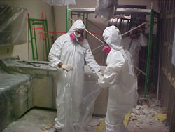 Asbestos Removal Services