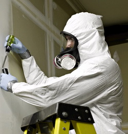 Asbestos Remover Jobs Asbestos Remover Jobs