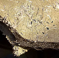 Asbestos Remover Safety Considerations Asbestos Remover Safety Considerations