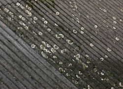 Asbestos Removers Dallas Asbestos Removers Dallas